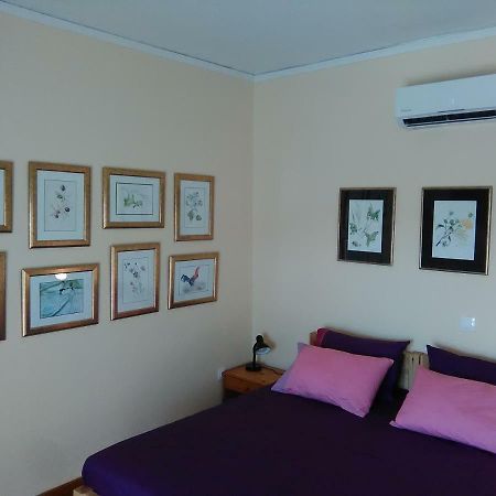 דירות אתונה Mia'S Atelier, Balcony To Acropolis מראה חיצוני תמונה
